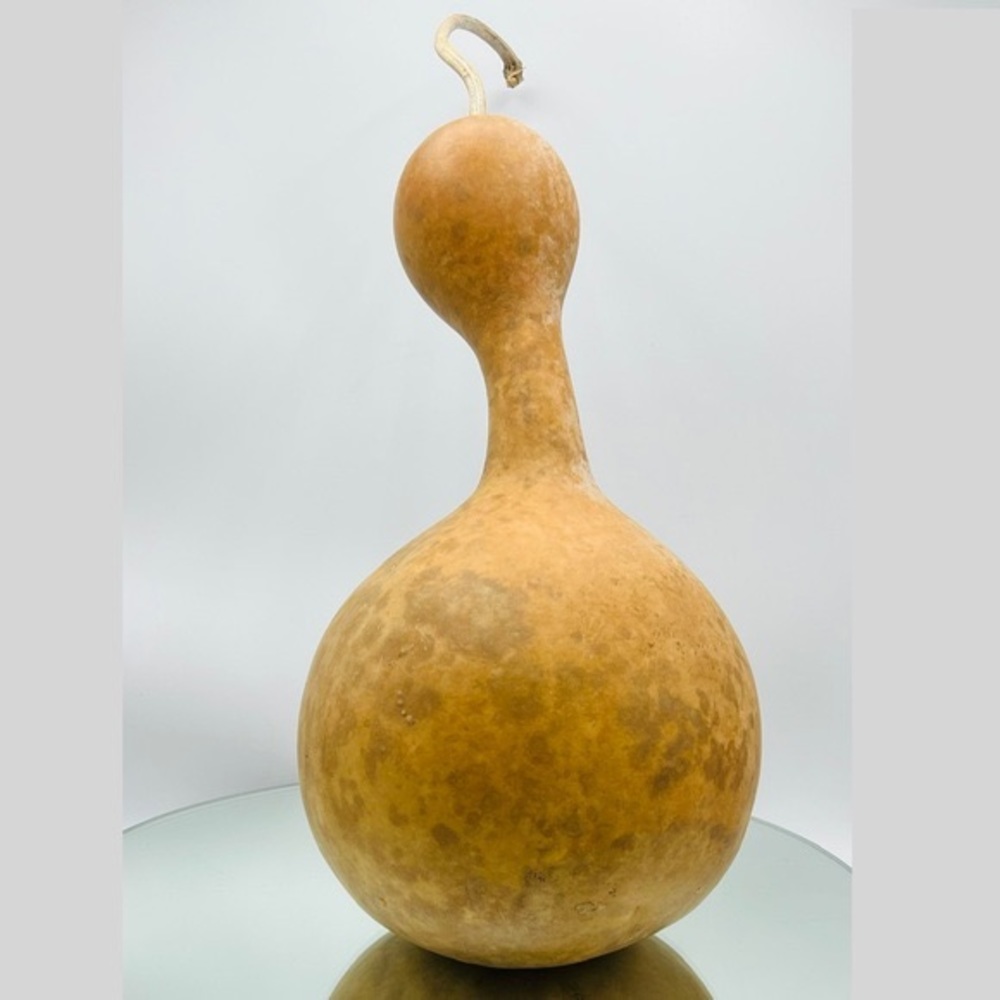 Clean Dried Natural Gourd ARTS & CRAFTS Project Ready Bowl Vase Vessel Birdhouse
